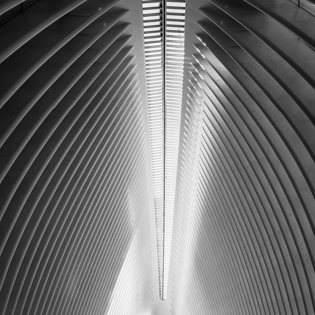 The ribs of Calatrava's Oculus rising symmetrically towards the central spine of light