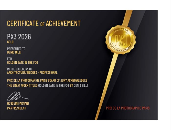 Certificato PX3 2026 Oro per Golden Gate in the Fog, Architecture / Bridges, Professional